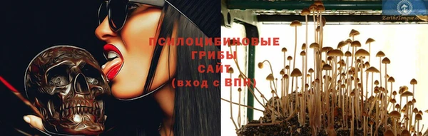 спиды Иннополис