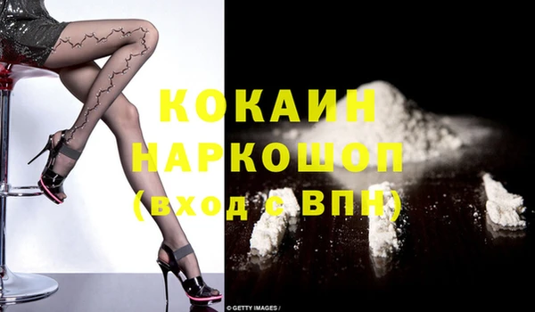 гашик Инсар