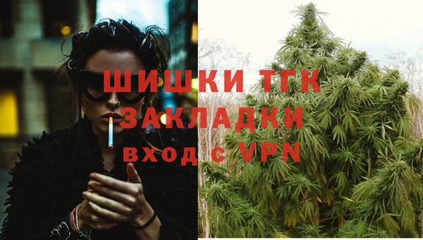 спиды Иннополис