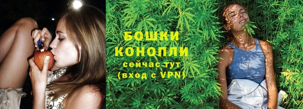 спиды Иннополис