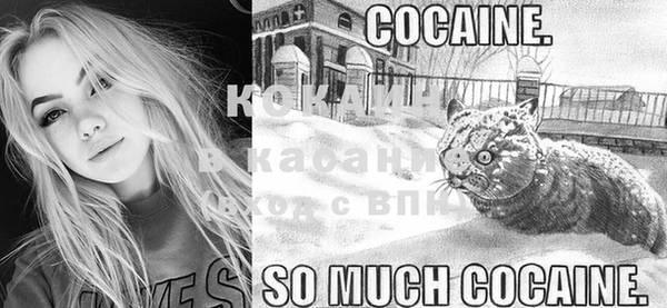 гашик Инсар