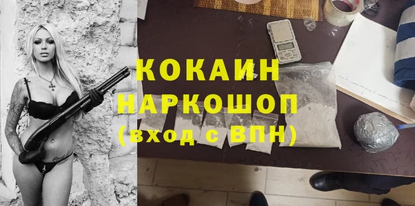 гашик Инсар