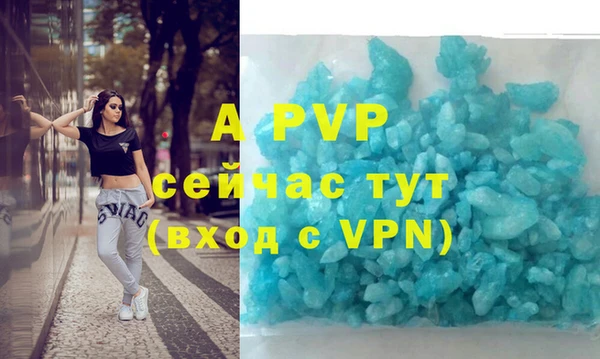 спиды Иннополис