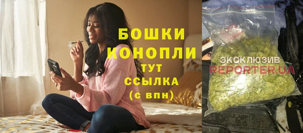 гашик Инсар