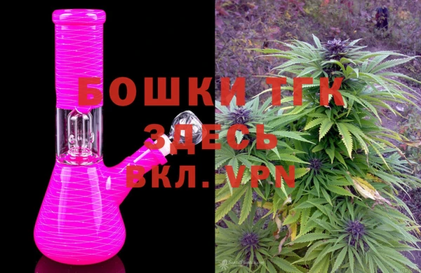 гашик Инсар