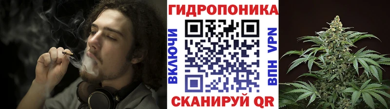 МАРИХУАНА White Widow  как найти   Щигры 